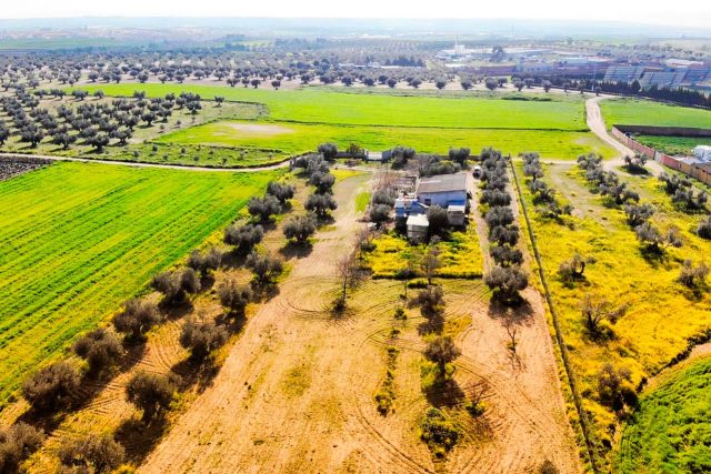 Rústico 8.000m2 + Nave de 100m2 + Tractor de Regalo